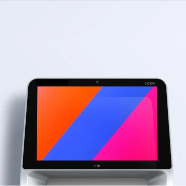 SK300